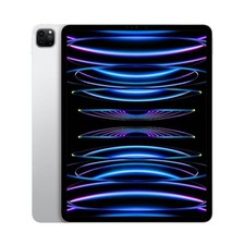 Apple ipad pro usato  Italia