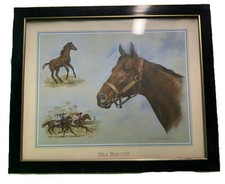 print framed animals sea for sale print framed animals sea for sale Newark