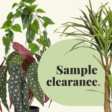 Blooming artificial samples for sale  GREAT YARMOUTH
