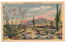 Superstition mountain arizona for sale  Orange City