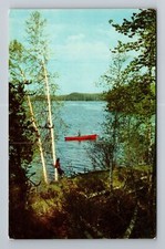 Cartão postal vintage Dexter MI-Michigan, barco de pesca escarlate no rio comprar usado  Enviando para Brazil