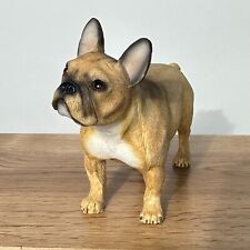 French bulldog leonardo for sale  PRESTON