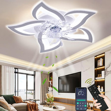 Ventola soffitto con usato  Roma