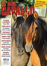 Mio cavallo 2018 usato  Campagna