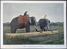 Ceylon elephants dragging d'occasion  Expédié en Belgium