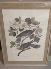 Vintage band tailed for sale  Muncy