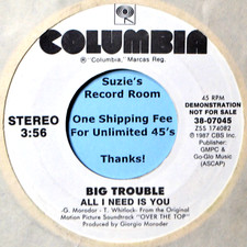 Big trouble need for sale  Tucson
