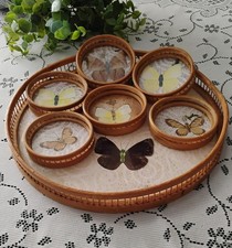 Piece butterfly coaster for sale  CHRISTCHURCH