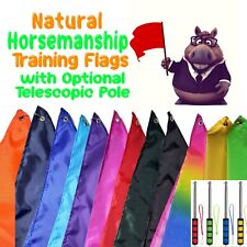Bandeiras de Treinamento de Equitação Natural Opcional Polo Arco-íris Personalizado comprar usado  Enviando para Brazil