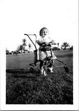 Cute chubby baby for sale  Downey