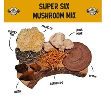 Super six mushroom for sale  NEWHAVEN