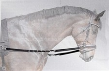 Rênes fixes dressage d'occasion  Expédié en France