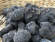 Tartufo nero estivo usato  Terni