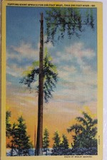 Scenic topping giant for sale  Wilmington