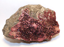 Belle erythrine erythrite d'occasion  Lagnieu