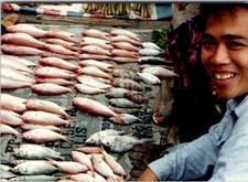 Smiling fish vendor for sale  Southampton