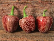 Semi peperoncino jalapeno usato  Verrayes