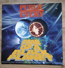 Public enemy fear usato  Torino