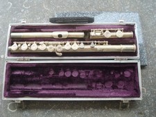 Haynes schwelm professional for sale  Narragansett