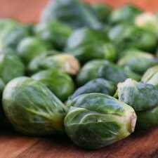 Catskill brussels sprouts for sale  Deltona