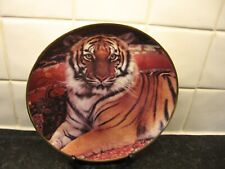 Wild cat plate for sale  WELLINGBOROUGH