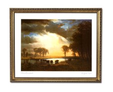 Buffalo bison lake for sale  Springdale