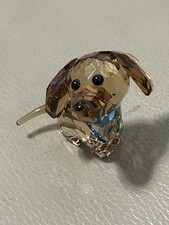 dachshund puppies for sale dachshund puppies for sale  ROMFORD