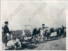 1929 farmers use for sale  Whiteville