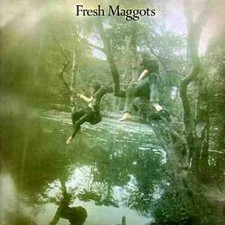 Fresh maggots like for sale  UK