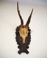 Vintage deer antler for sale  Los Angeles