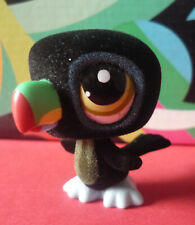 Petshop littelest toucan d'occasion  Grenoble-