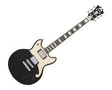 Angelico premier brighton for sale  Winchester