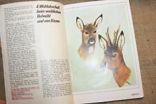 Fachbuch rehe tropäen gebraucht kaufen Fachbuch rehe tropäen gebraucht kaufen  Weimar