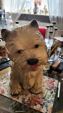 Scottish highland terrier gebraucht kaufen  Reil