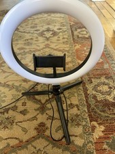 led light wolf for sale led light wolf for sale DUNSTABLE