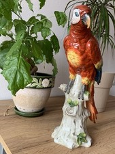 Capodimonte pappagallo ara usato  Robbiate