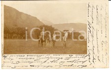 1908 vizille passeggiata usato  Milano