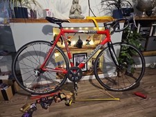 Cannondale saeco optimo for sale  CALNE
