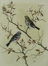 Anne hopkinson framed for sale  HARROGATE