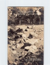 Postcard wood pile for sale  Almond