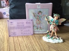 Snowberry faerie faerie for sale  SIDCUP