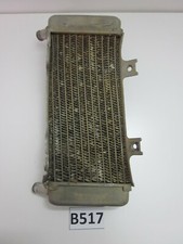 Radiatore sinistro crf usato  Ariano Irpino