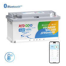 12v 100ah lifepo4 gebraucht kaufen  Neuss