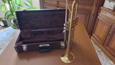 trombe musicali usato  Villarosa