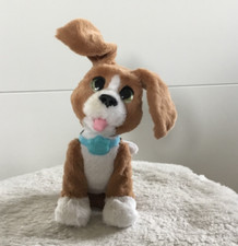 Fur real hund gebraucht kaufen  Vörstetten