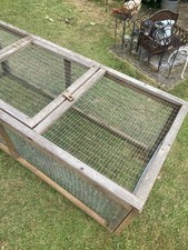 Run tortoise. guinea for sale  CHELMSFORD