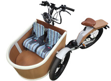 Cargo bike bici usato  Monterotondo