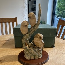 teviotdale owls for sale teviotdale owls for sale  WINCHESTER