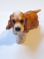 Lovely cocker spaniel for sale  WIMBORNE
