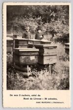 Bee hives rouchehaut for sale  Scotland